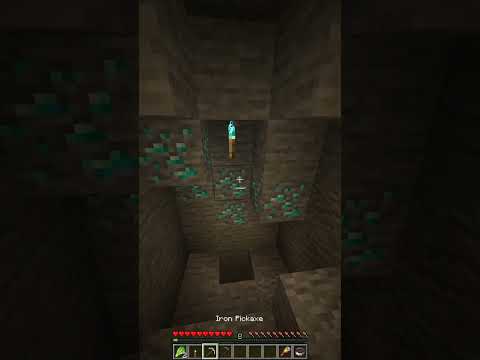 Minecraft Cave Scare: Cocodeloco Craft