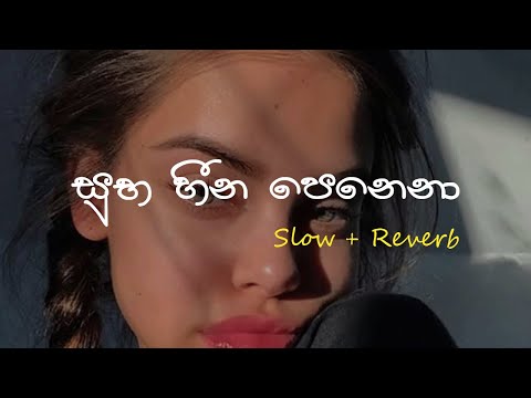 Sihina Hora (සිහින හොරා) - Slow + Reverb  @supunzstudio