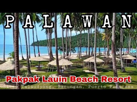 Pakpak Lauin, Bacungan Puerto Princesa