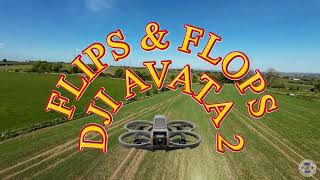 FLIPS & FLOPS