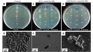 Quantification of Microorganisms: CFU
