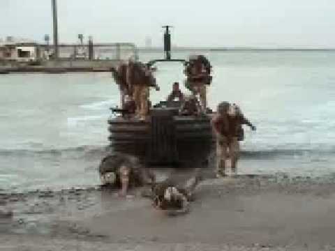 Desembarco de Marines