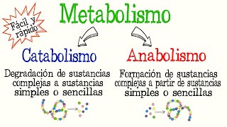 🍔¿Qué es el Metabolismo Catabolismo y Anabolismo diferencias [Fácil y Rápido] | BIOLOGÍA | QUÍMICA