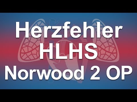 Herzfehler einfach erklärt: Hypoplastisches Linksherzsyndrom (HLHS): Norwood 2 Operation