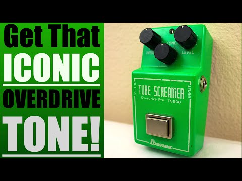 REVIEWING The Ibanez TS808 Tube Screamer Overdrive Pedal