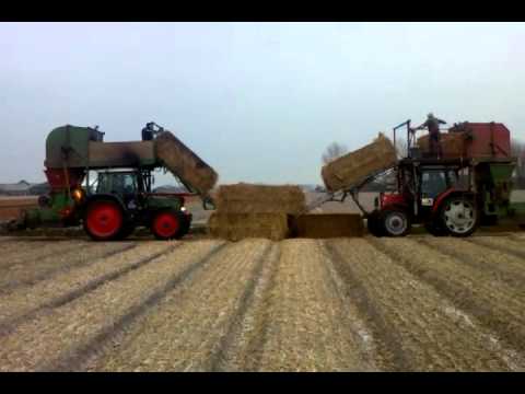 loonbedrijven hoogschagen en vermaire zijn samen aan het dekken bij ons