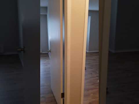 Maple Lane - Video 2 of 2