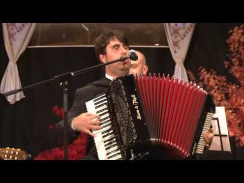 Pavao ANIĆ  Ja u klin ti u ploču&Jablani se povijaju