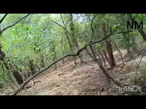 Nature's beauty at its finest ,