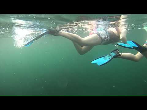 Snorkeling Tamarindo Costa Rica