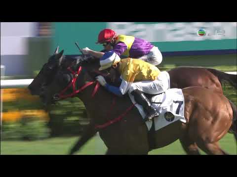 13/11/2021 (172) 翩翩君子 (G013) 莫雷拉