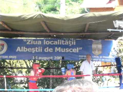 Ziua localitatii Albestii de Muscel-15 august 2010(3)