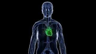 Ginger Baker - Blood Brothers 69.flv