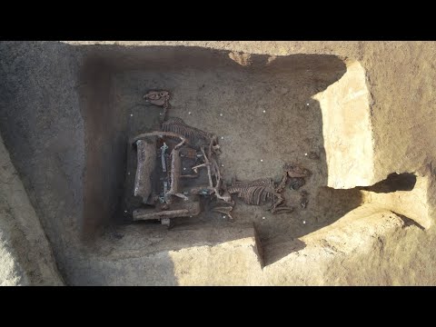 Roman chariot excavation in Stari Jankovci, Croatia - Rimska dvokolica iz Starih Jankovaca