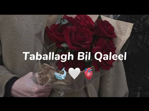 Taballagh Bil Qaleel ❤️‍🔥🫀 / Nasheed / красивый нашеед 🤍🌙 / Табаллах Бил Калил🦋🫂