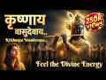 Krishnaya Vasudevaya Powerful Krishna Mantra For Deep Sleep Inner Peace Daily