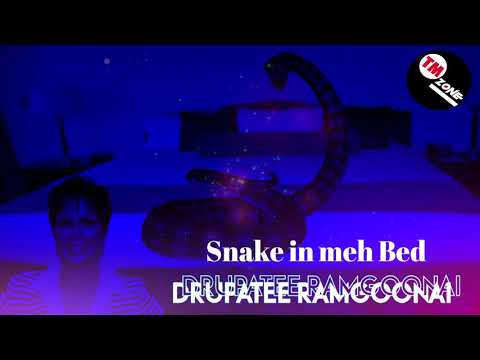 Drupatee Ramgoonai - Snake In Meh Bed