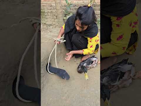 #reels #foryou #vairalshort #fishing #shorts