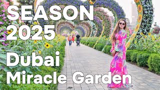 Dubai 🇦🇪 Amazing Miracle Garden, New Season 2025 [4K] Walking Tour