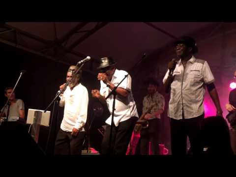 The Melodians (Jam) @ This Is Ska Festival 2016 - Rosslau
