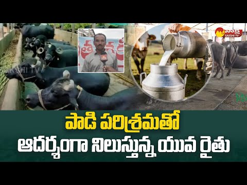 Vijay Kumar Success Story of Dairy Farming - YouTube - YouTube