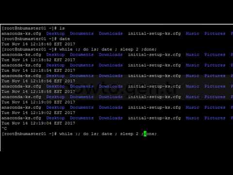 How To Create Infinite^Endless Loop With Bash Script In Linux