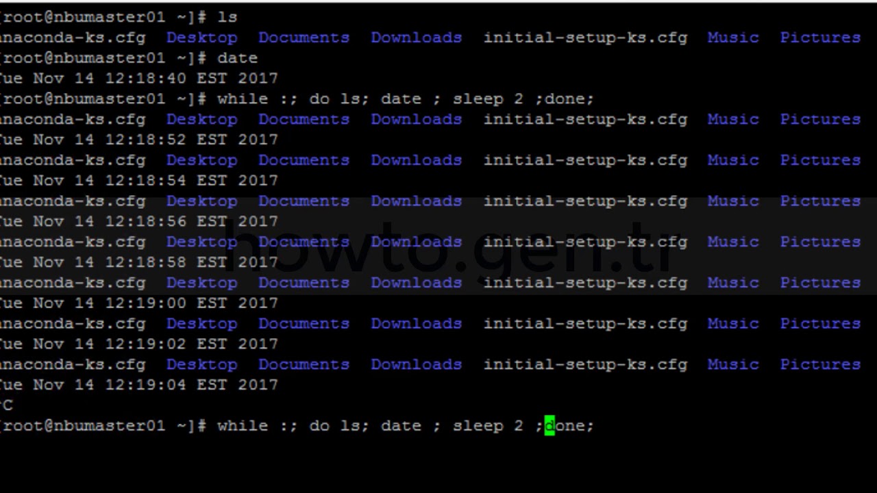 How To Create Infinite^Endless Loop With Bash Script In Linux