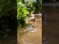 Nee Mutham Ondru Koduthal Whatsapp Status Full Screen