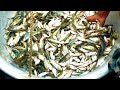 River Mix Fishing Pabda Small Fry Mystus Fish Market
