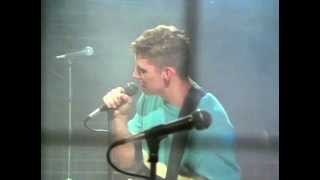 THE SUNNYBOYS - Comes As No Surprise (1984)