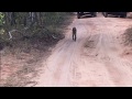 Leopard Movie Clips Yala National Park SriLanka LakeSide Cabana Tissamaharama
