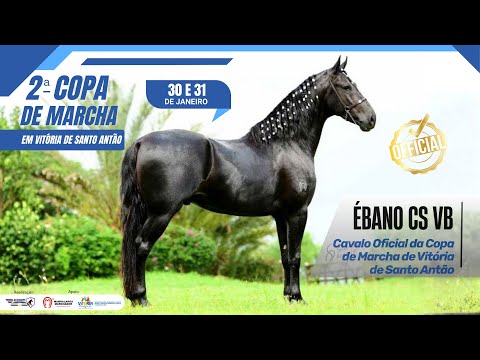 2ª Copa de Marcha Mangalarga Marchador - Vitória de Santo Antão | Dia 02 - Continuaçãó