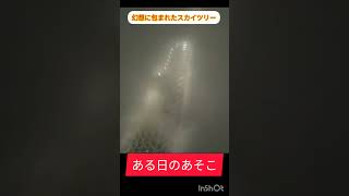 ファンタスティックな現実　夜中のスカイツリー