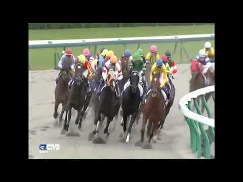 2015.12.06 Champions Cup (formerly Japan Cup Dirt) - Sambista