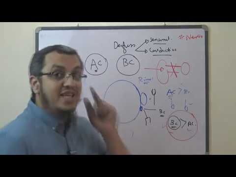 MRCP - NEURO - The Weber and the Rinne test - Dr. Mohamed Osama