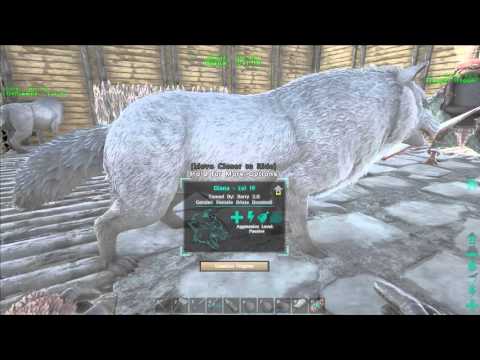ARK: Survival Evolved | Breeding Dire Wolves tutorial!
