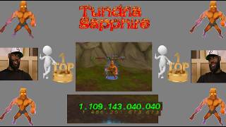 Miniaturka - Tundria Sapphire - TOP1 LUDEK PVM