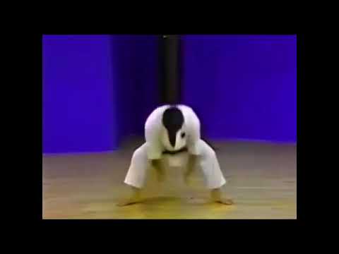 Shiko Dachi explained | Morio Higaonna.