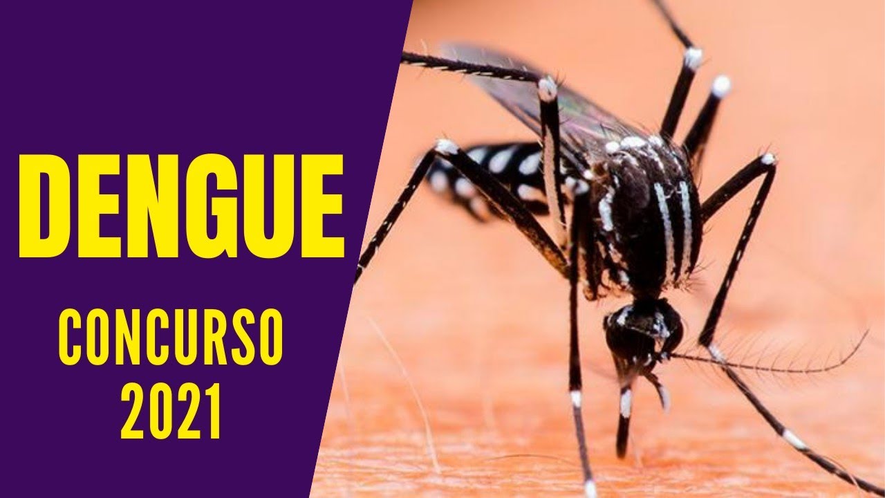 DENGUE CONCURSO_ AULA COMPLETA [ATUALIZADO 2021]