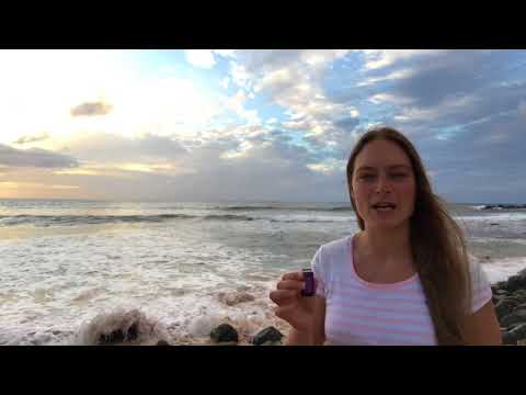 Ölvideo der Woche - Lady Sclareol