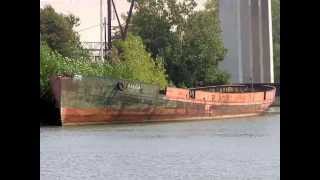 Shelby Lynne - Where I'm From