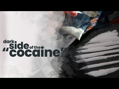 Historical evolution of the coca plant! | Popular Journal