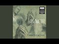 French Suite No. 3 in B Minor, BWV 814: III. Sarabande