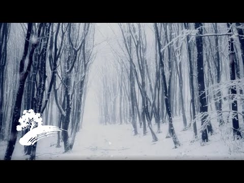 Winter, Fire & Snow - Órla Fallon [Christmas Visualizer]
