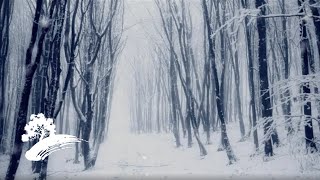 Winter, Fire &amp; Snow - Órla Fallon [Christmas Visualizer]
