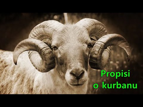 PROPISI O KURBANU
