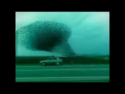 (VERY RARE) AMBIENT X EXPERIMENTAL TYPE BEAT - "1010"