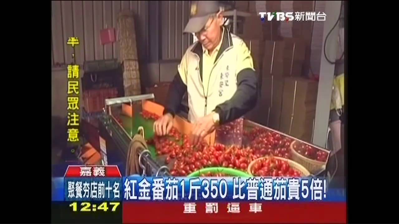 番茄1斤350 產銷班天價水果產值破億