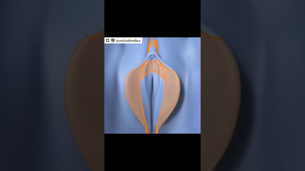 Carlos Andrés Garza Flores-14