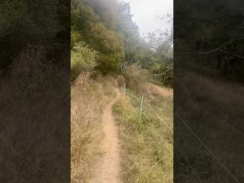 Rheinsteig Etappe 14: Kestert nach St. Goarshausen #wandern #wanderung #rheinsteig